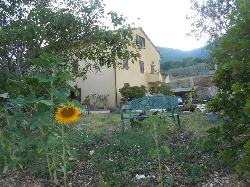B&B Il Sentiero Di 아시시 외부 사진